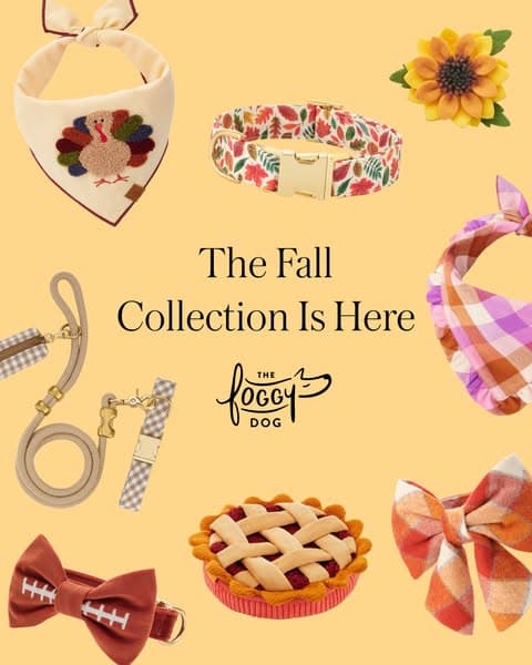 Timeless plaids for the season