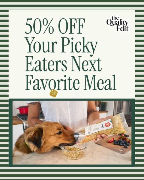 Why Our Editors Recommend The Farmer’s Dog (Now 50% Off)