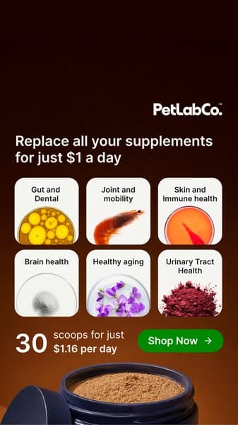 1 Scoop Replaces $235 In Supplements