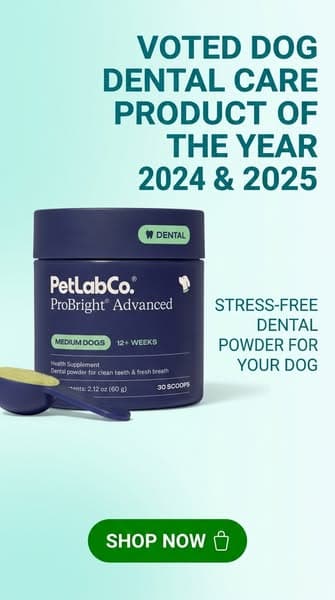 Voted Dog Dental Care Product of the Year. Twice.