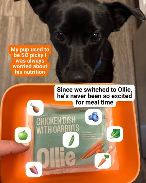 Use TQE50 For 50% OFF