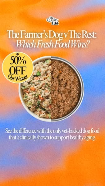 Why Our Editors Recommend The Farmer’s Dog (Now 50% Off)