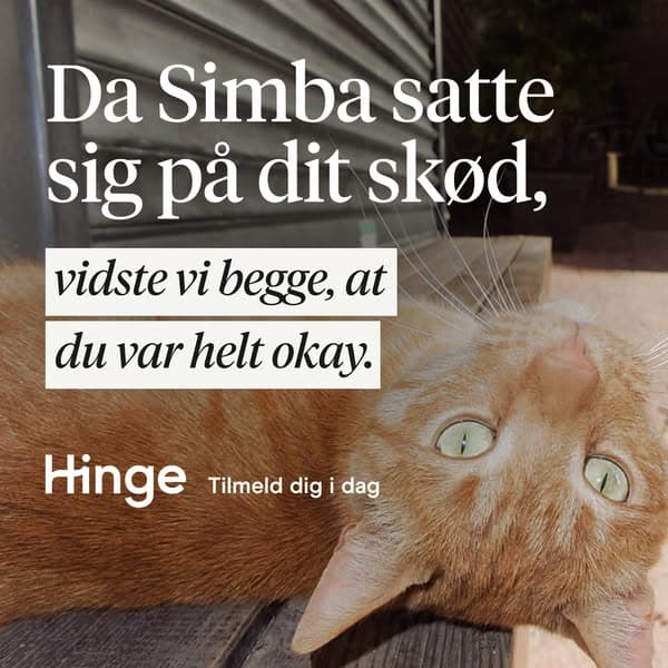 Tilmeld dig Hinge i dag.