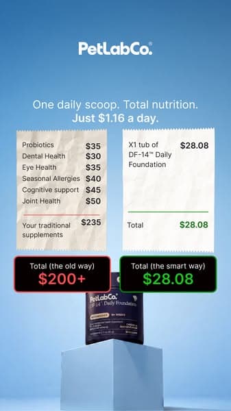 Replace $200+ In Dog Supplements With 1 Scoop