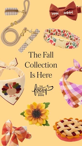 Timeless plaids for the season