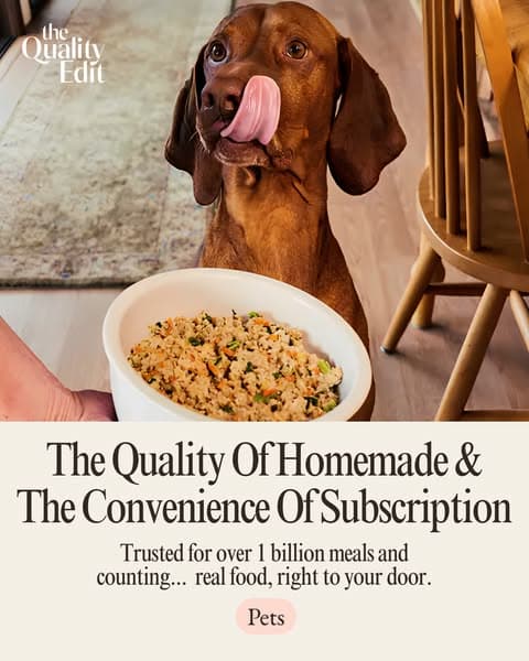 Why Our Editors Recommend The Farmer’s Dog (Now 50% Off)