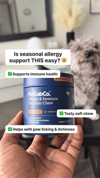 Allergy Support, Made Simple