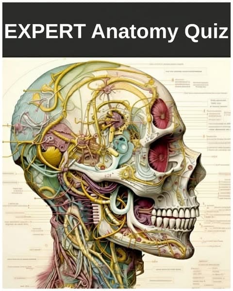 Think You Know About Human Bones and Muscles? Test Yourself