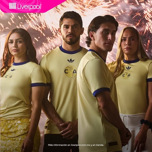 Descubre la colección
