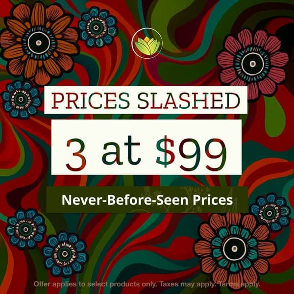 ANY 3 of our bestsellers at $99 USD