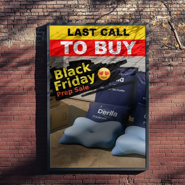 Black Friday Deal: 70% OFF 🔥