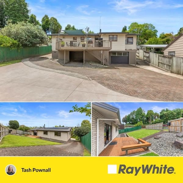 Big Section, Big Comfort, Big Tick