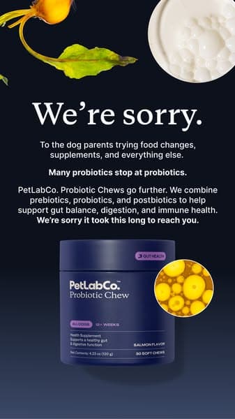 Over 2 Million Dog Owners Swear By This…