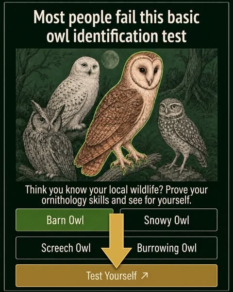 🕊Ornithology, but Bite-Sized!