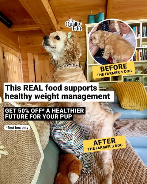 Vet-Developed Peace of Mind: 50% Off The Farmer’s Dog