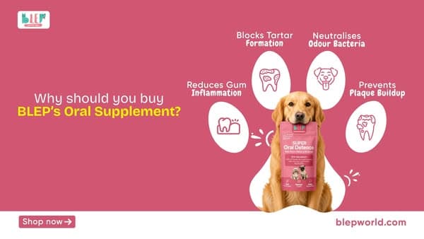 Complete Oral Care With Dog Oral Supplements