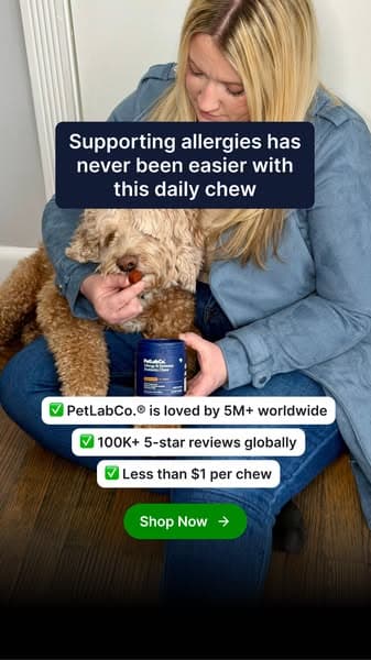 The daily chew that saved us this allergy season 🐶