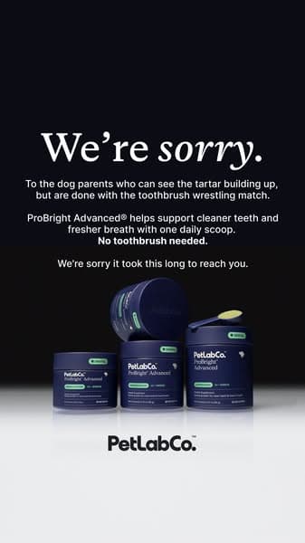 The Toothbrush Wrestling Match Is Over