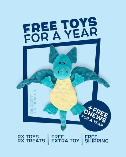 +1 FREE toy every month