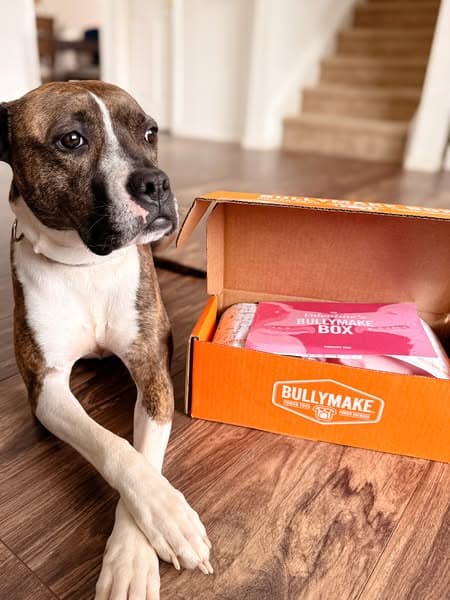 Built for Power Chewers