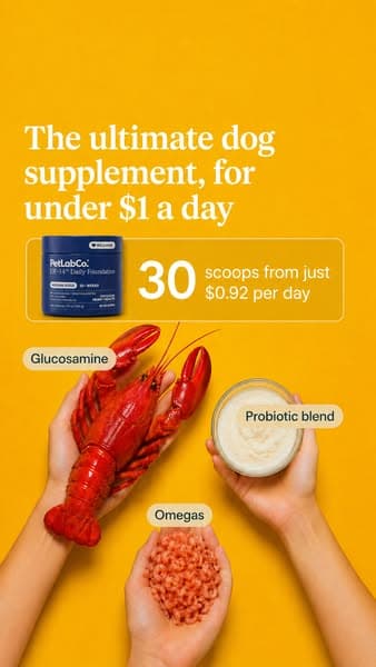 1 Scoop Replaces $235 In Supplements