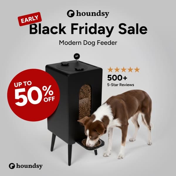 Portion-Controlled Feeder with 400+ 5-Star Reviews