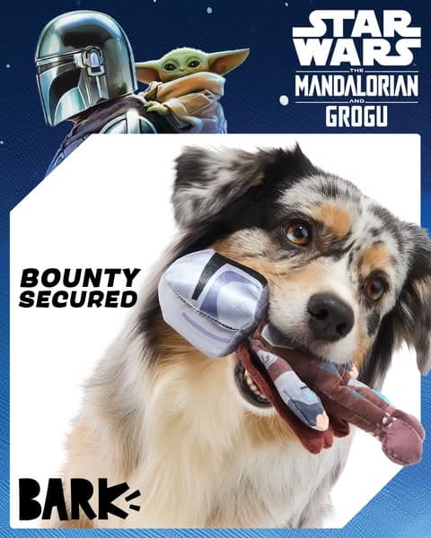 For dogs across the galaxy