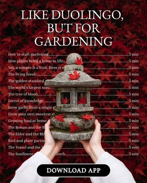 Start growing today ๐ฑ