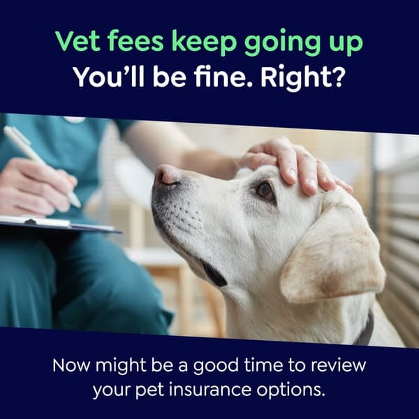 Lifetime Protection, for Less