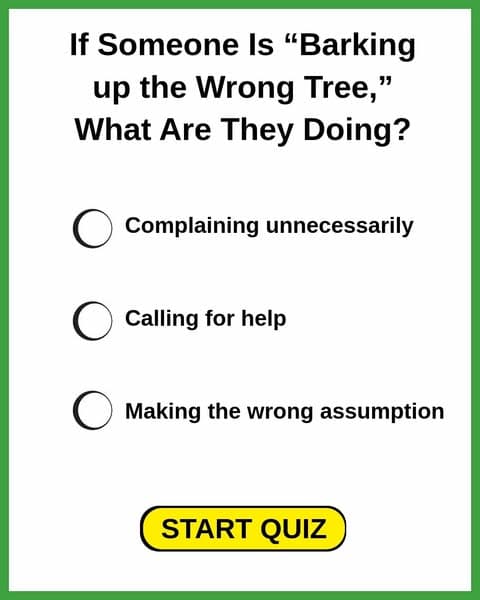 Think You Know Everyday Phrases? Prove It!