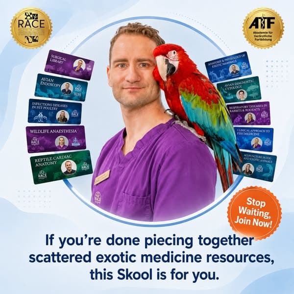 Strengthen Your Exotic Medicine Skills