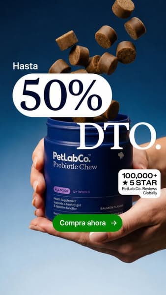 Al 92% le encanta desde el día 1