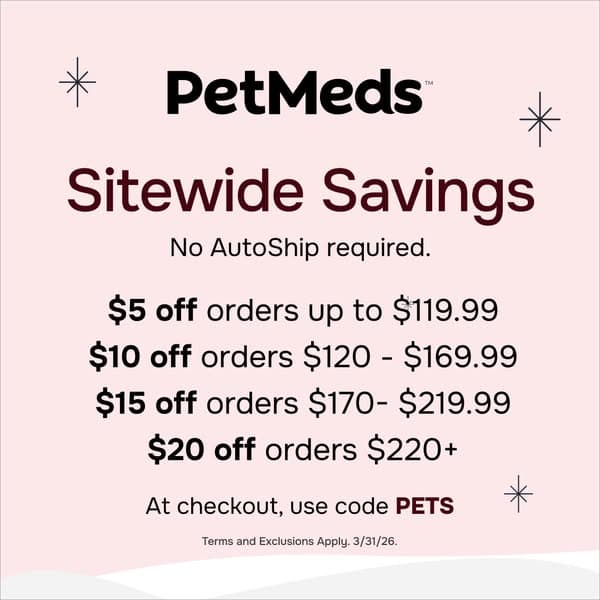 🎉 Buy More, Save More!