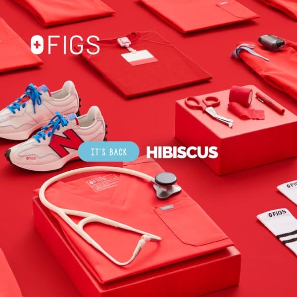 MUCH-LOVED HIBISCUS IS BACK