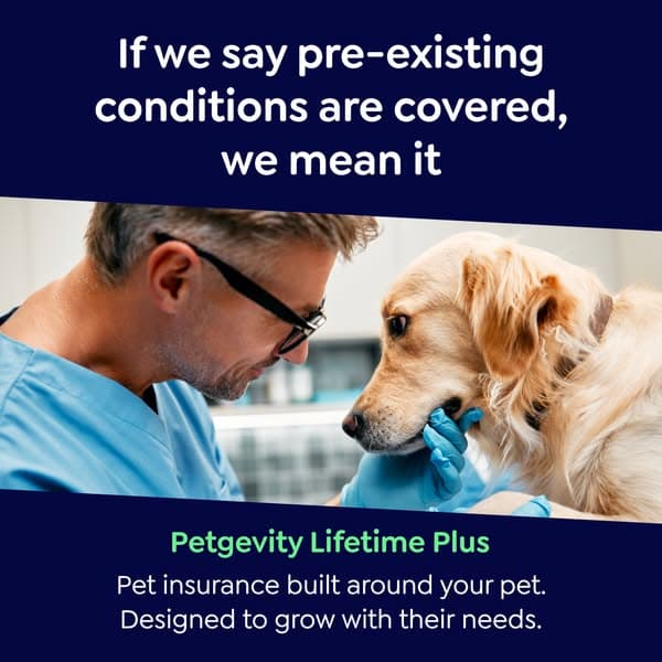 Lifetime Protection, for Less