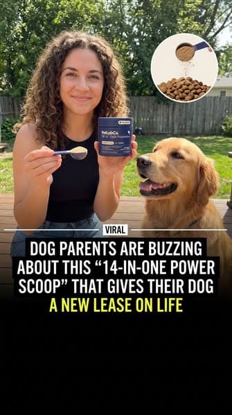 One scoop replaced my dog's whole supplement shelf