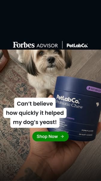 Yeast & Loose Stools? Try This Daily Chew