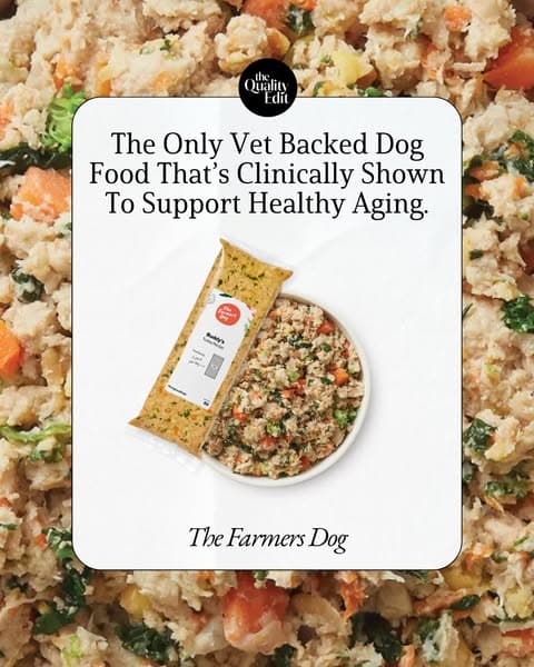 Why Our Editors Recommend The Farmer’s Dog (Now 50% Off)
