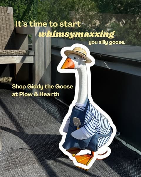 The Viral Porch Goose