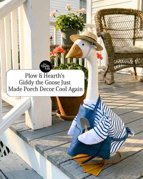 The Viral Porch Goose