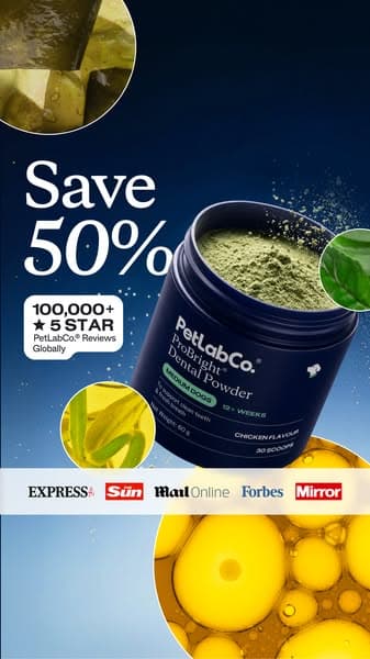 50% OFF Dog Dental Powder | Powerful Daily Support
