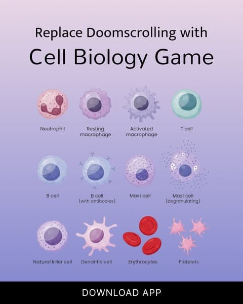 🔬 Biology, but Bite-Sized!