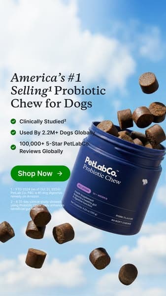 Finally a dog probiotic soft chew really built by science