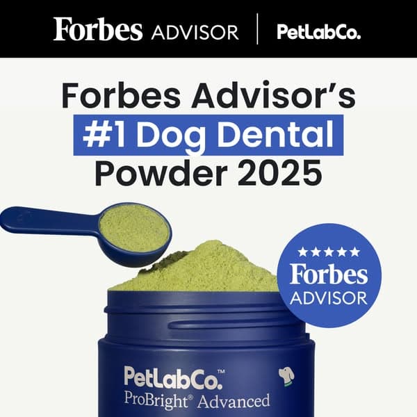 Over 780,000 US dog owners are switching to ProBright® Advanced