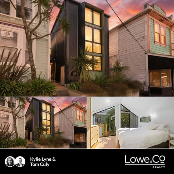 VIBRANT ARO VALLEY CHIC