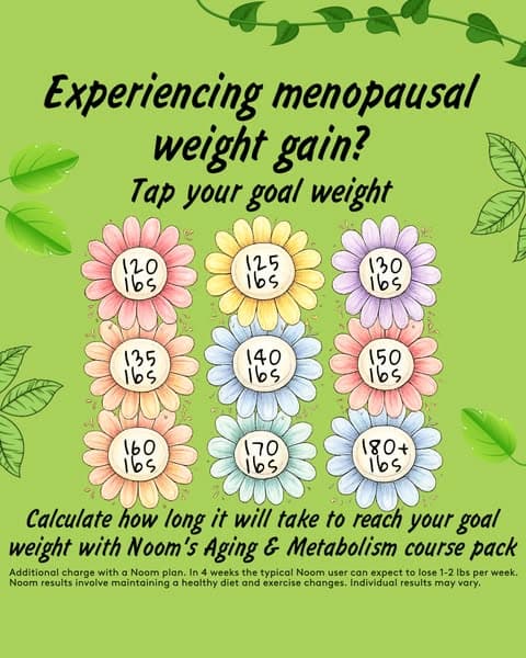 Now Try The NEW Course Pack