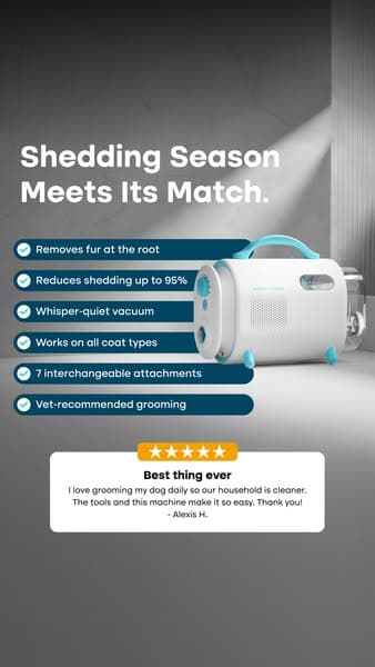 Struggling with Pet hair? Not for long!