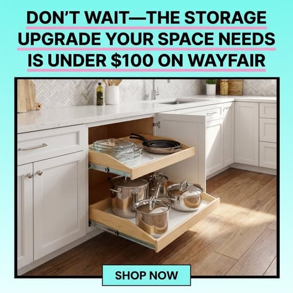 Organize Your Space For Under $100