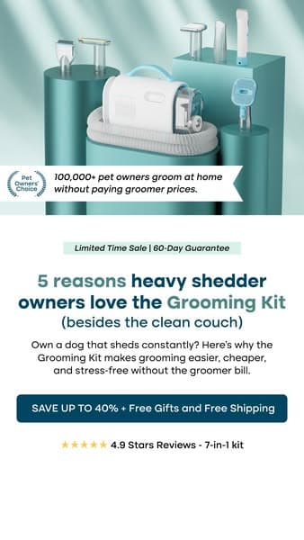 Struggling with Pet hair? Not for long!