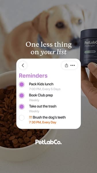 Busy Moms Swear By ProBright Advanced!